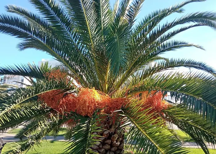 Shared By Oldtown And 400 M Away ザダル